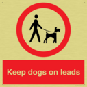 dogs-on-lead-symbol-with-black-text-on-white-background~